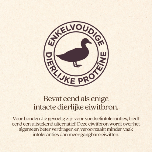 Hond Sensitive Met Eend Brok
