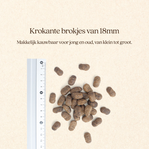 Hond Huid+Vacht Brok